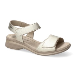 FLORALINE Gold